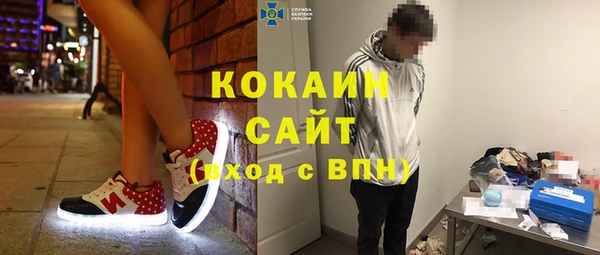 стаф Снежинск