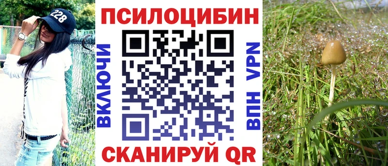 Галлюциногенные грибы Psilocybine cubensis  продажа наркотиков  hydra вход  Гаврилов-Ям 